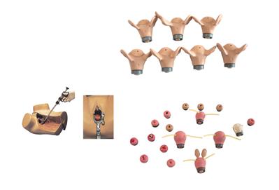 高级妇科综合检查训练模型