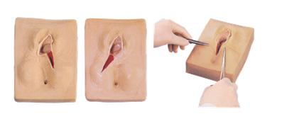 外阴缝合练习模型