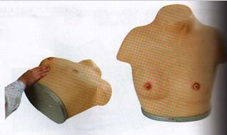 高级乳腺视诊与触诊模型