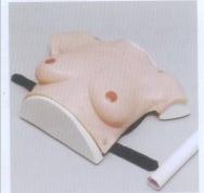 高级着装式乳房自检模型