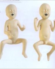 高级24周早产儿模型