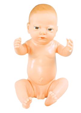 高级出生婴儿附脐带模型