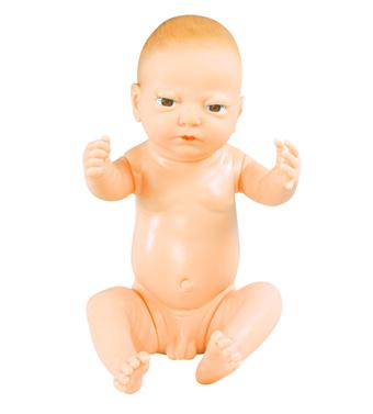 高级出生婴儿模型