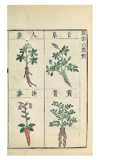 本草纲目