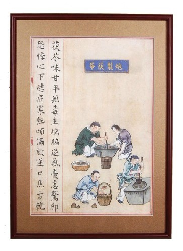 茯苓 中药炮制图