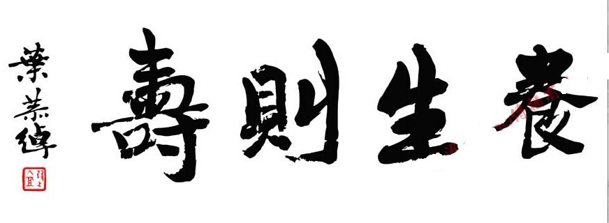养生则寿