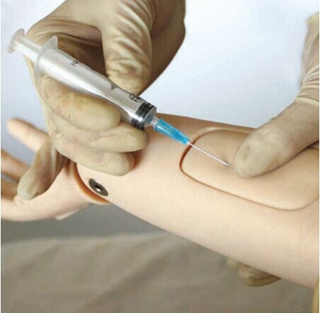 高级全功能老年护理人（女性）