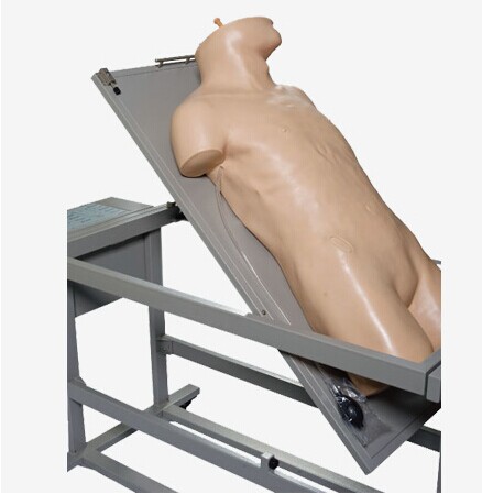 高级综合穿刺术与叩诊检查技能训练模拟人