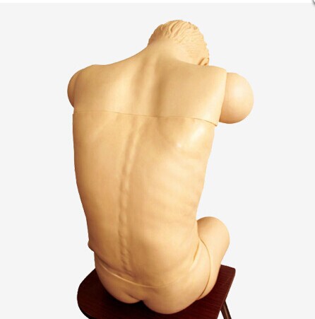 高级综合穿刺术技能训练模拟人（前倾坐位）