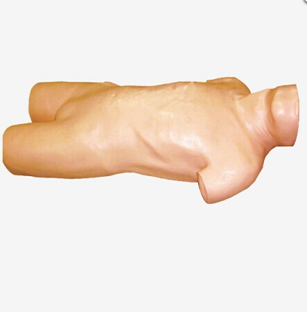 高级骨髓穿刺模型