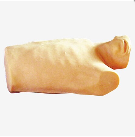 高级心包穿刺与心内注射训练模型