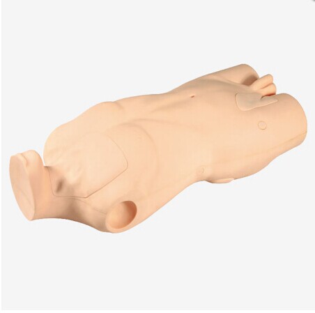 中心静脉穿刺注射躯干模型