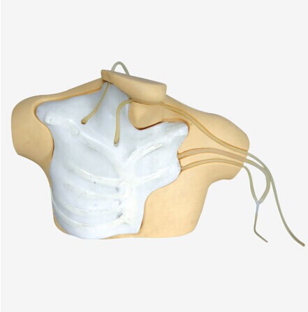 中心静脉穿刺插管模型