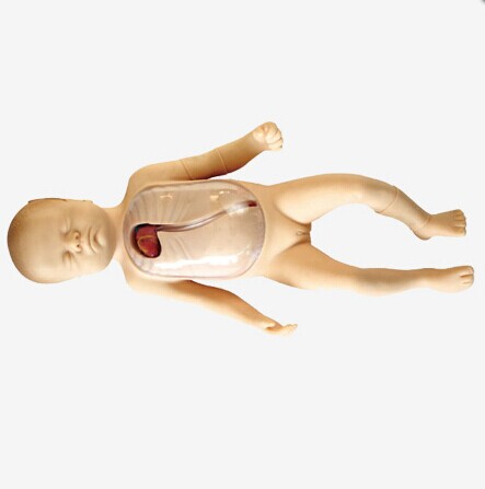 高级新生儿外周中心静脉插管模型