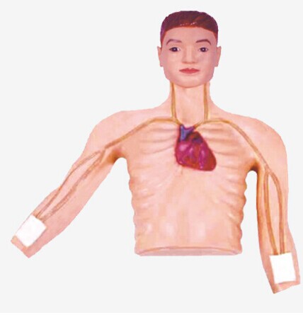 PICC介入训练模型