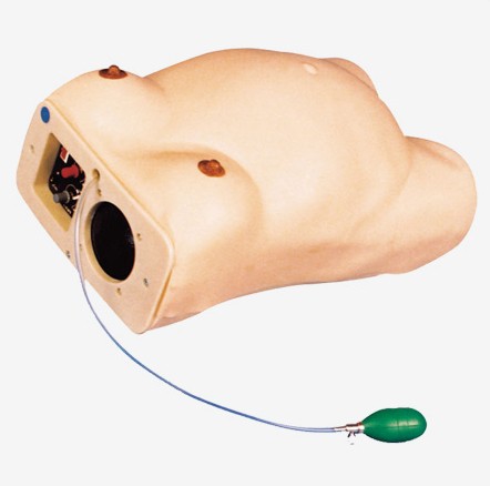 高级电脑孕妇检查模型