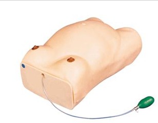 高级孕妇检查模型