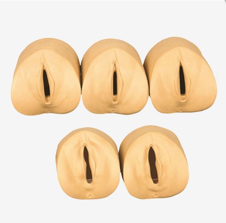 高级分娩综合技能训练模型