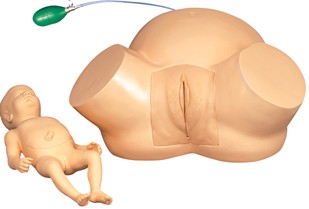 高级难产示教训练模型