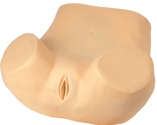 高级妇科训练模型