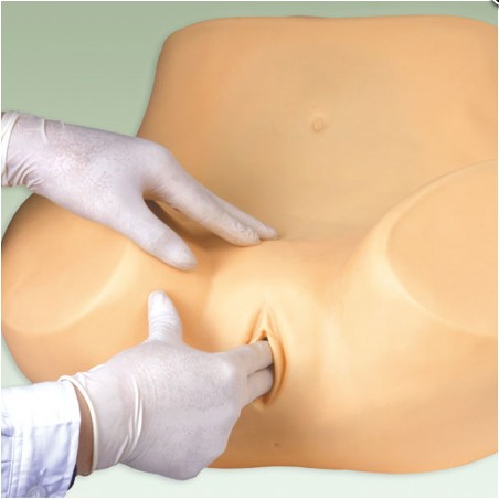 高级妇科检查训练模型