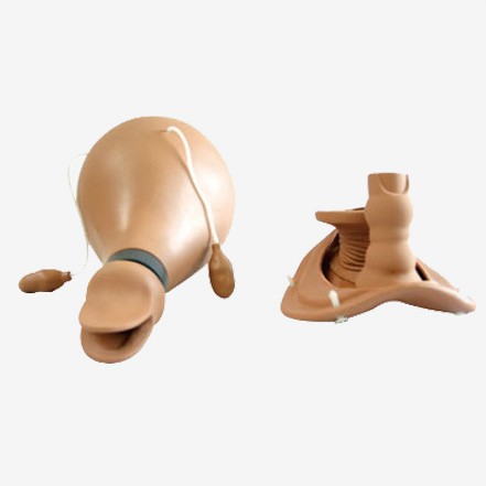 高级妇科综合检查训练模型