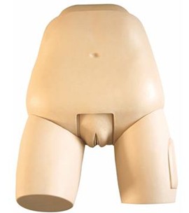 高级子宫底检查评定模型