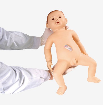 高级婴儿护理模型