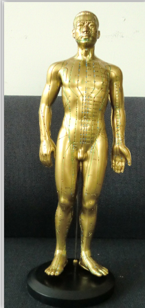 现代十四经穴针灸铜人（全皮肤）