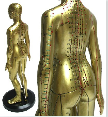 现代十四经穴针灸女铜人